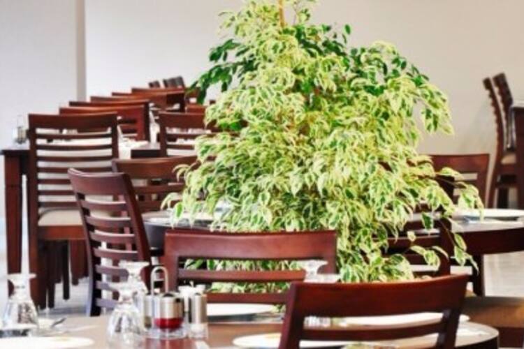 Yenice Doga Restaurant Inonu Esenyurt Istanbul